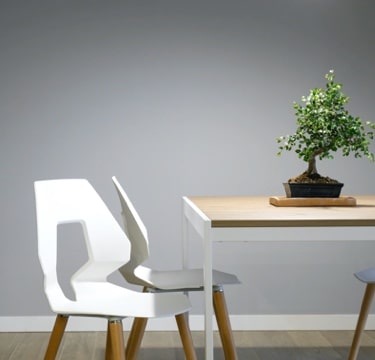 1. A modern dining area with two white chairs featuring wooden legs and a rectangular wooden table with a white frame. A small bonsai tree in a black pot is placed on the table, adding a touch of greenery to the minimalist setting.